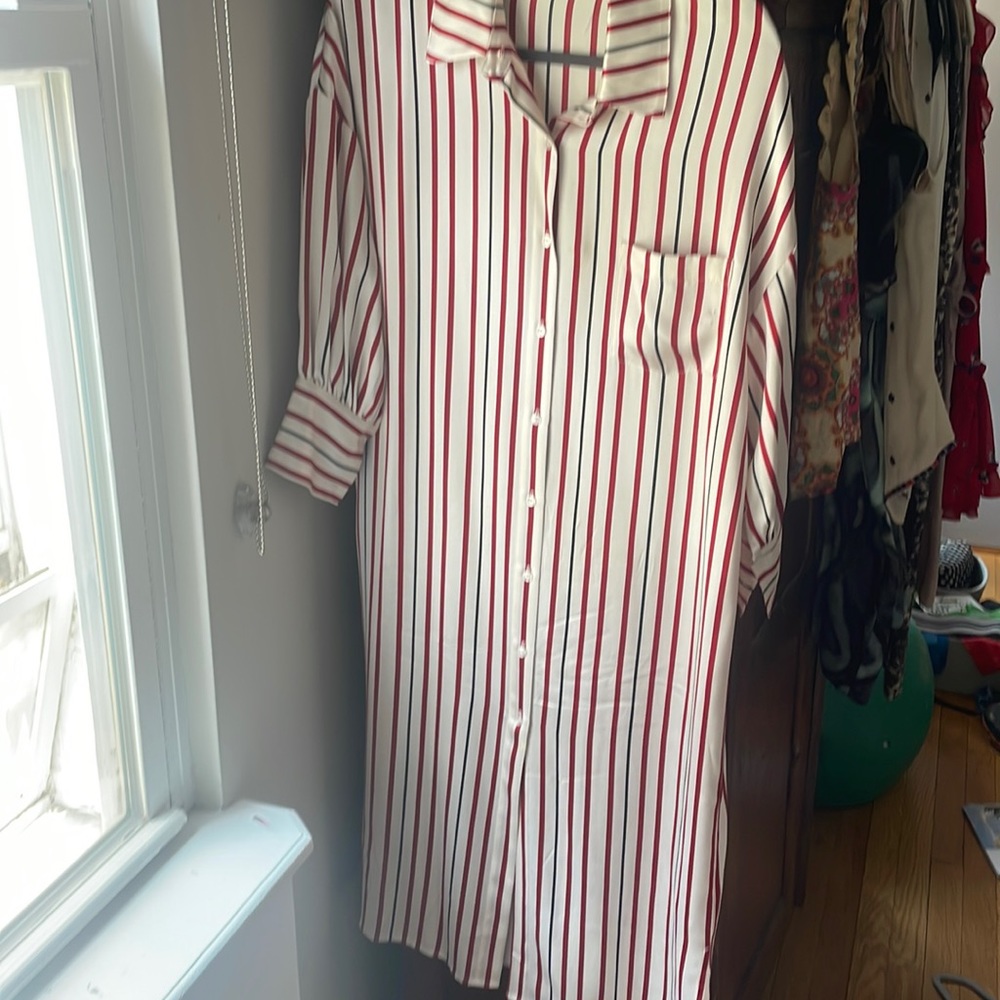 Anine Bing Maxi silk dress . Great with a belt or no belt.
